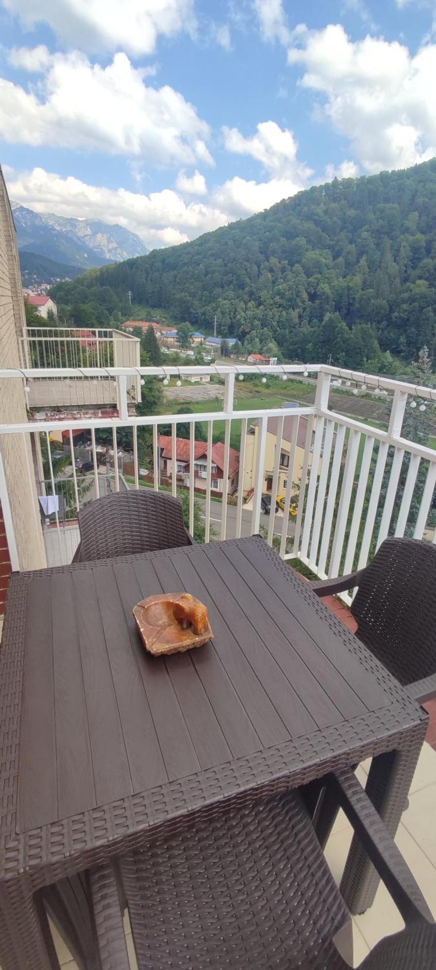 Ferienwohnung Duplex Belle View Sinaia-Free Parking Exterior foto