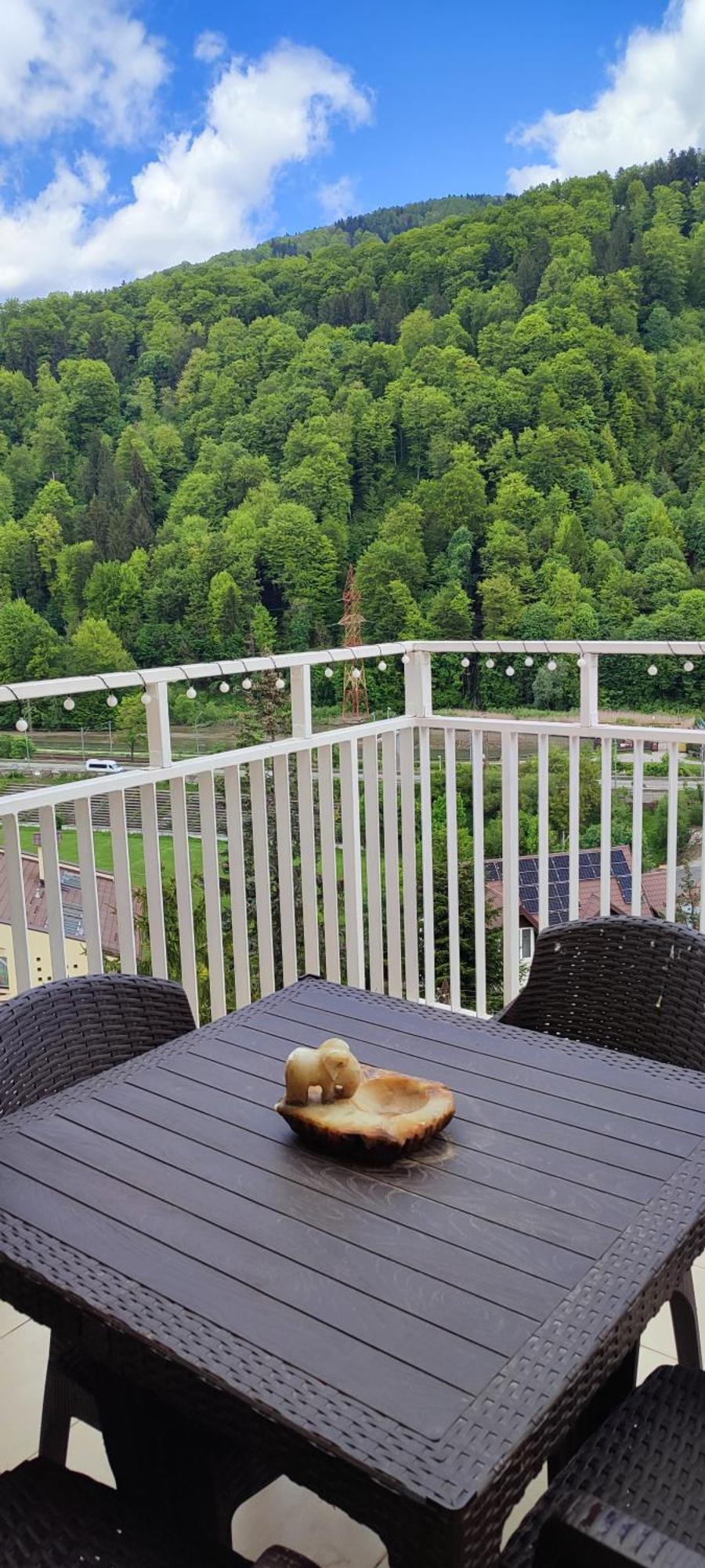 Ferienwohnung Duplex Belle View Sinaia-Free Parking Exterior foto