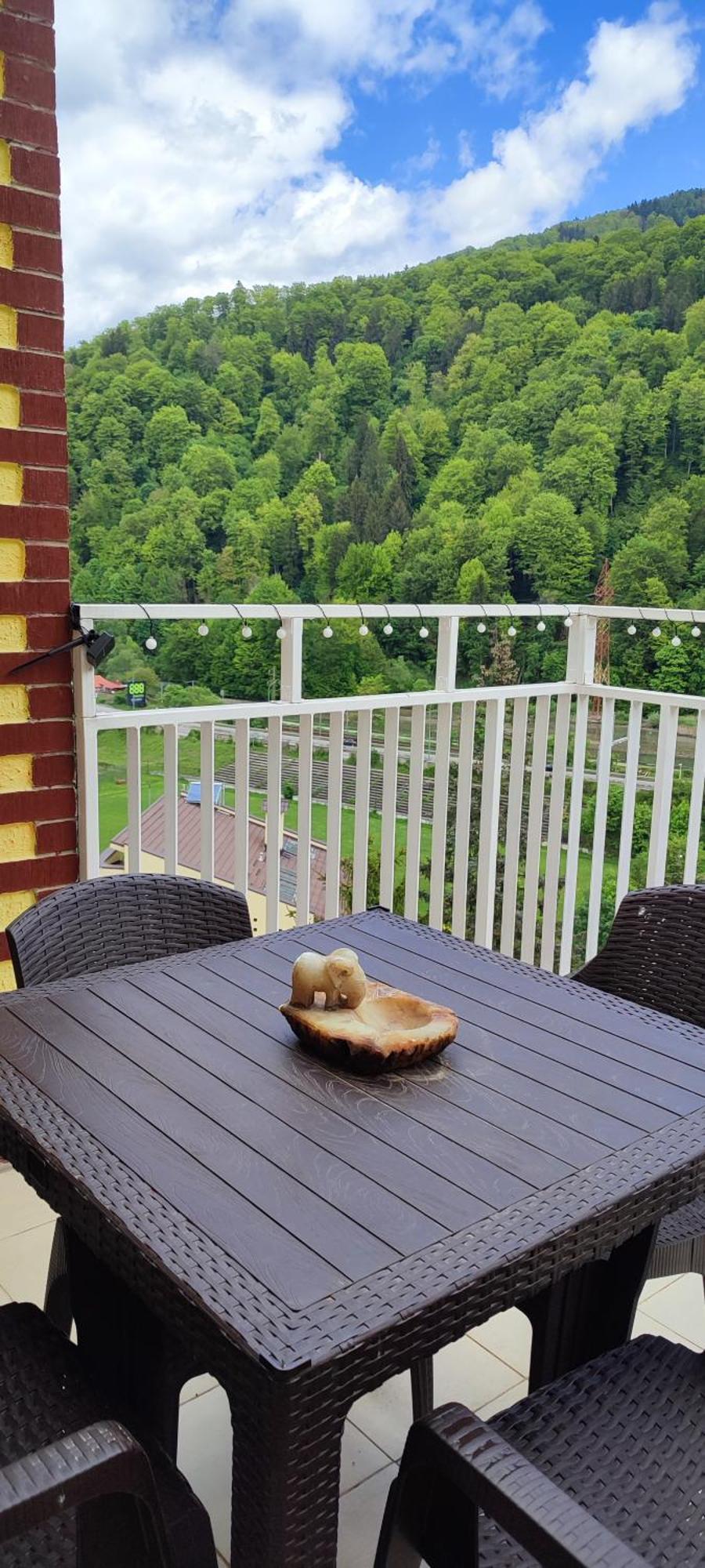 Ferienwohnung Duplex Belle View Sinaia-Free Parking Exterior foto