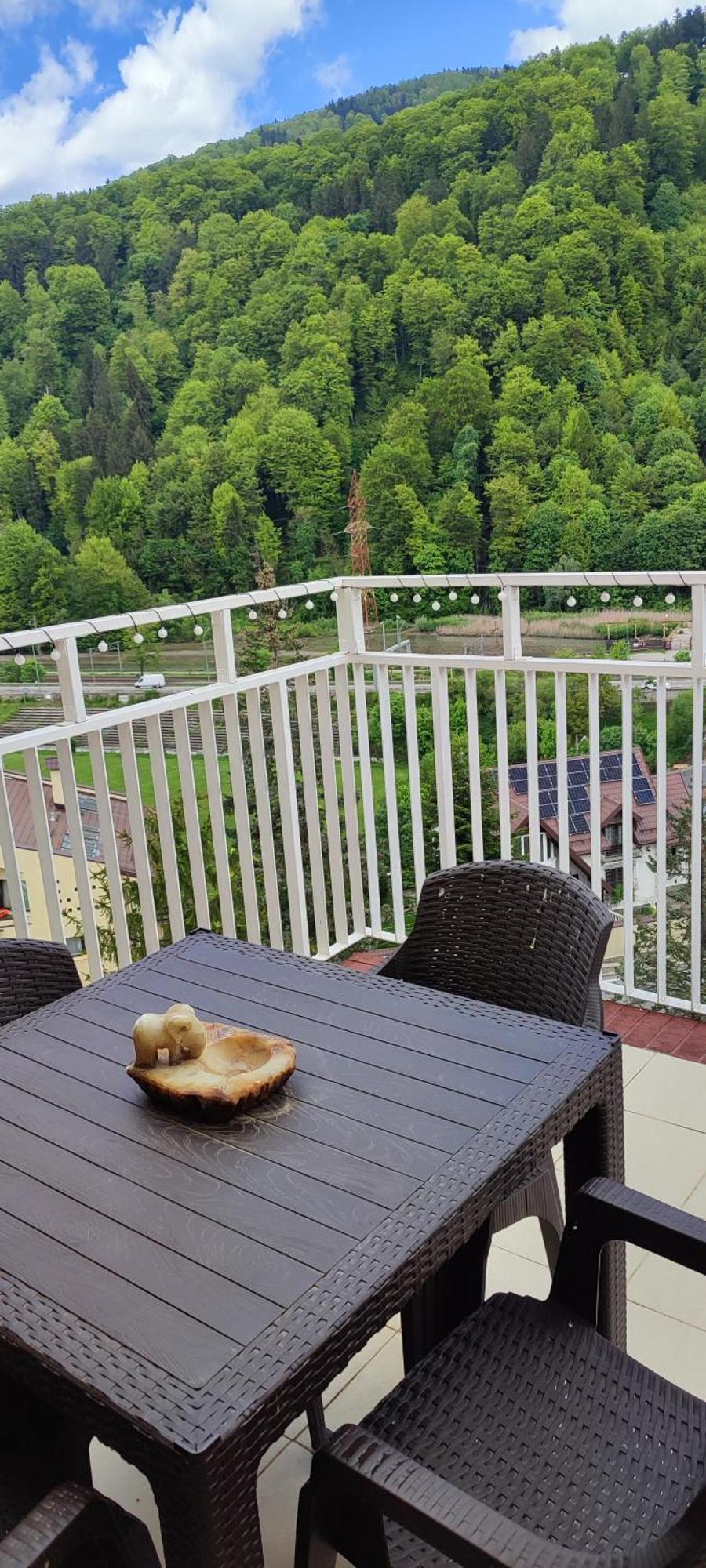 Ferienwohnung Duplex Belle View Sinaia-Free Parking Exterior foto